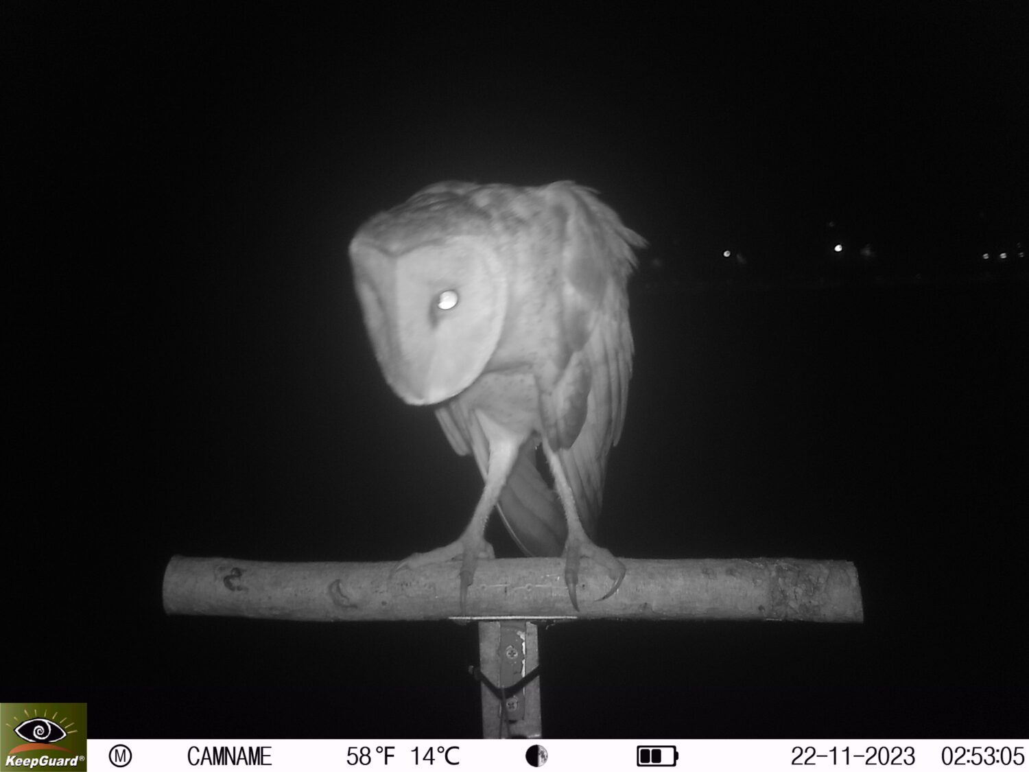 南科管理局：沙崙園區開發 科技與生態雙贏並重