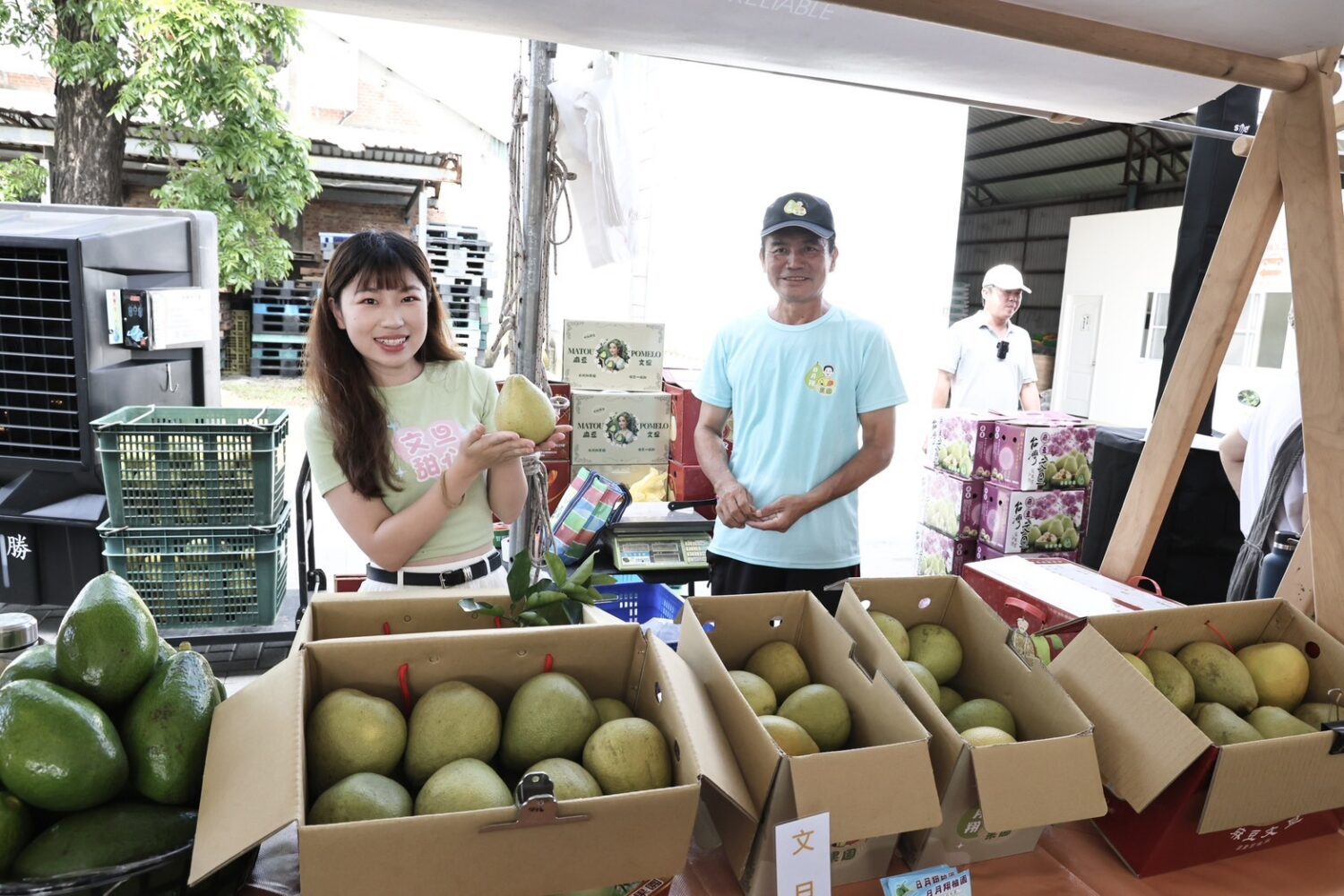 「麻豆柚感生活節」登場 黃偉哲致敬堅韌農民、感謝災後復原 「麻豆柚感生活節」登場 黃偉哲致敬堅韌農民、感謝災後復原