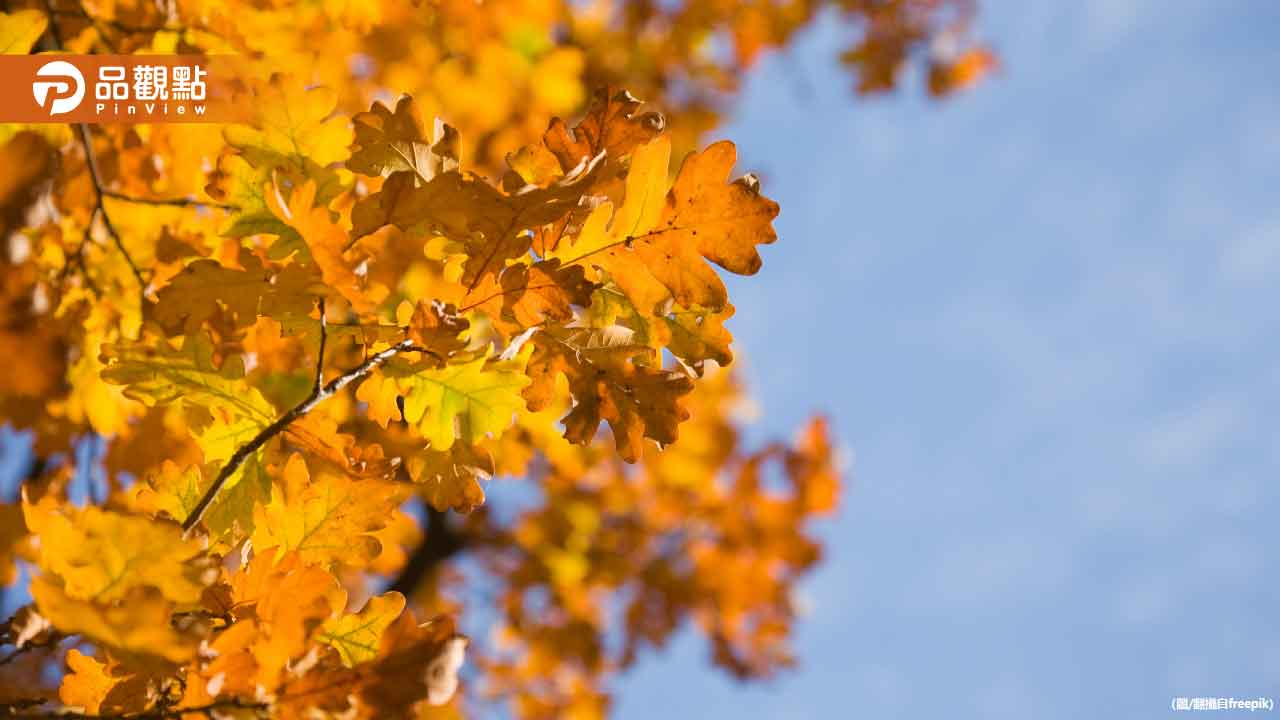 要變涼了！首波東北季風報到　恐影響雙十連假