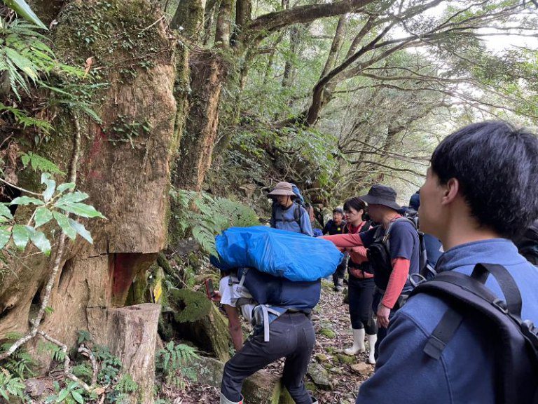 林業保育署新竹分署甄選森林護管員,成為山林守護者踏上與自然同行的職涯旅程 林業保育署新竹分署甄選森林護管員,成為山林守護者踏上與自然同行的職涯旅程