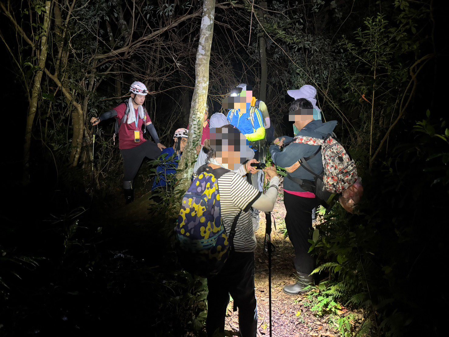 大溪白石山6人迷失方向 消防緊急上山救援