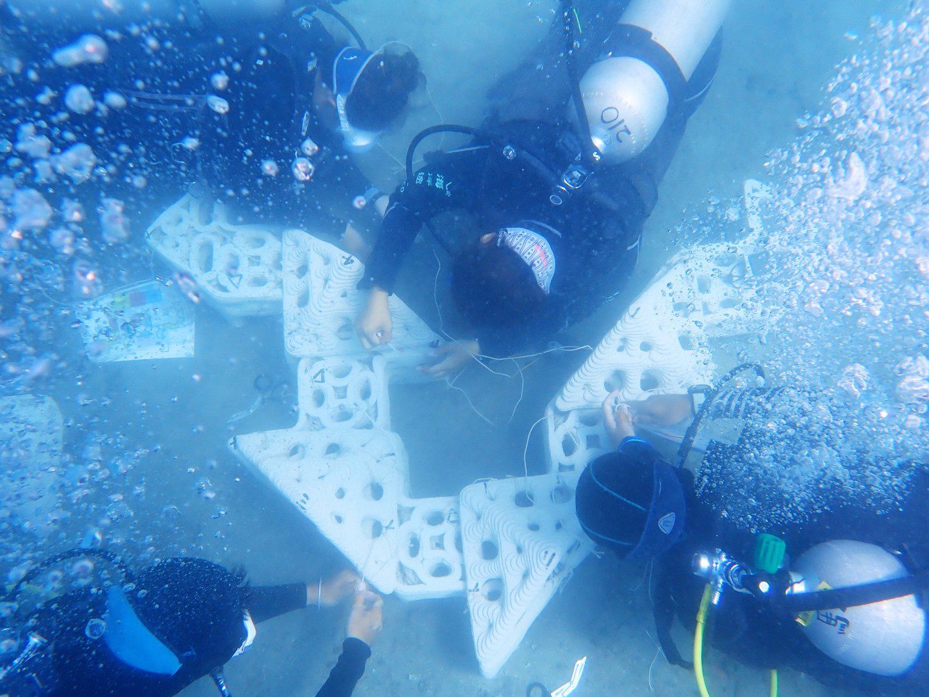 「循環澎湖」成果亮相:砂砱 3D 開啟復育新篇章 海委會補助跨域合作 展現臺灣島嶼永續設計實踐力 「循環澎湖」成果亮相:砂砱 3D 開啟復育新篇章 海委會補助跨域合作 展現臺灣島嶼永續設計實踐力