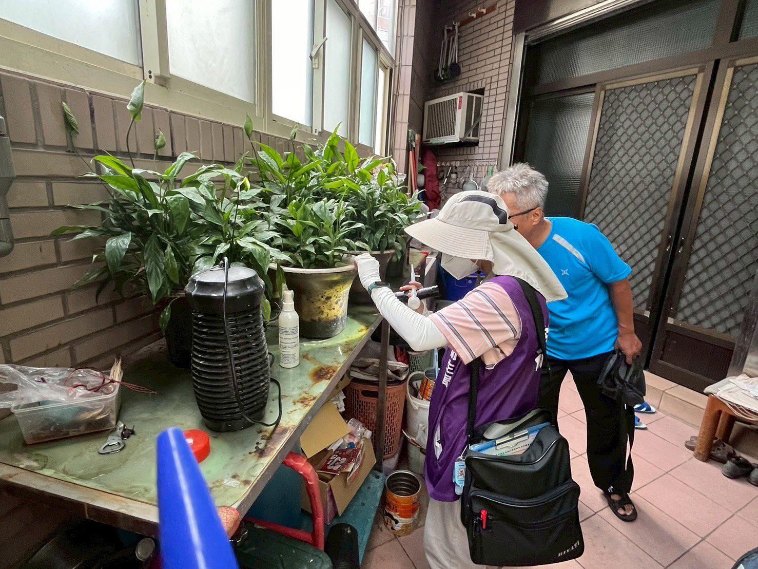 桃園市本土登革熱再添2例 研判為同一群聚事件 桃園市本土登革熱再添2例 研判為同一群聚事件