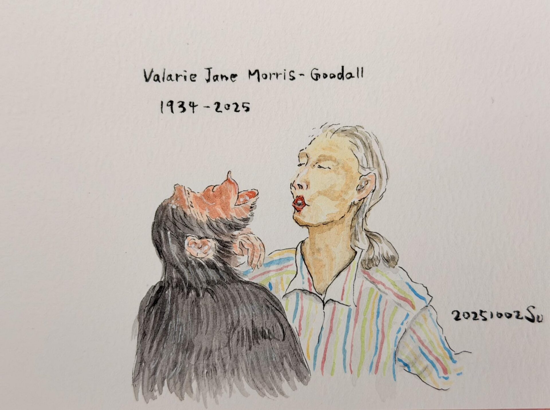 珍古德辭世享壽91歲 蘇俊賓手繪明信片追思：我在環境意識上的啟蒙