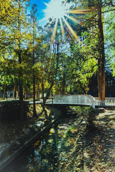 鄭朝方美學治市再添榮耀　「東之小徑十六道白」奪建築園冶獎與國家卓越建設獎雙肯定