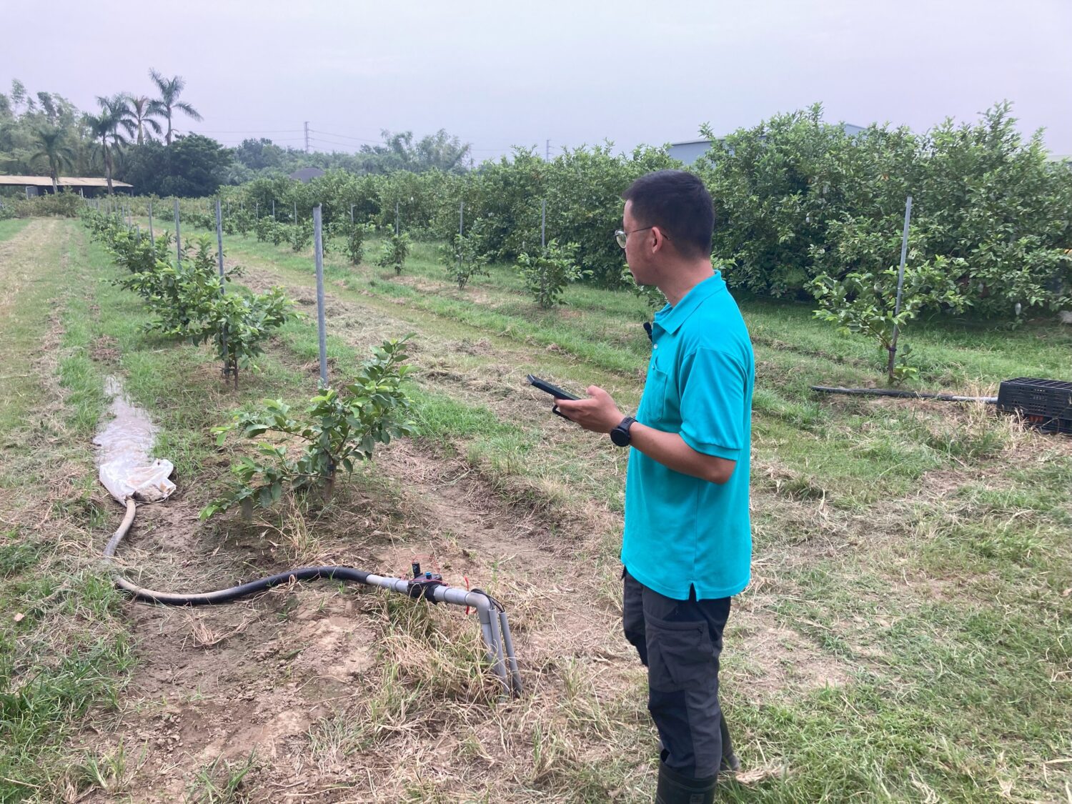 智慧農業 × 永續發展 「智永雙全」智慧農業競賽高雄首次登場