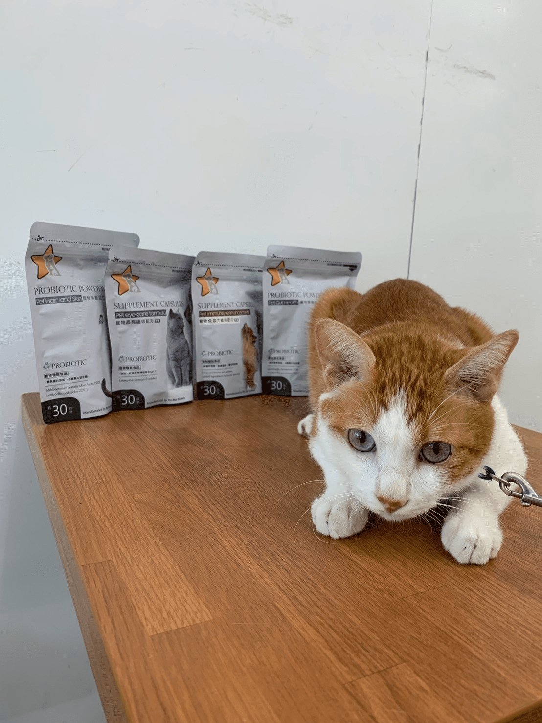 寵物醫療費飆漲!「寵星」助飼主預防重於治療 寵物醫療費飆漲!「寵星」助飼主預防重於治療