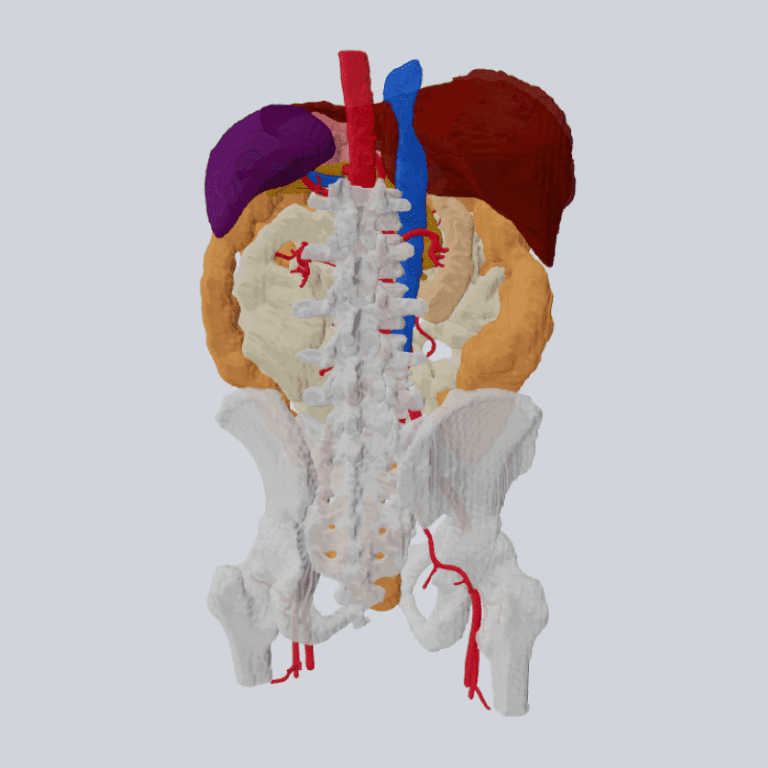 新竹臺大分院用科技「看見」病情　　大腸直腸外科導入混合實境輔助醫病溝通