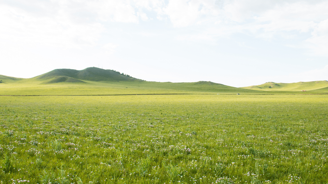 諾米麗以天然植萃守護女性,也守護這片土地 諾米麗以天然植萃守護女性,也守護這片土地