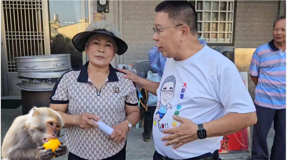 蔡育輝議員：台南猴害防治消極　籲市府中央協調資源