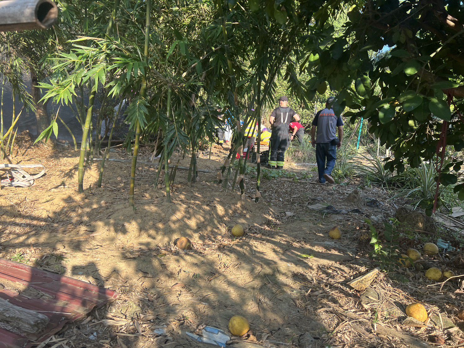 蘆竹77歲翁燒草整地引野火 全身「9成燒傷」搶救不治