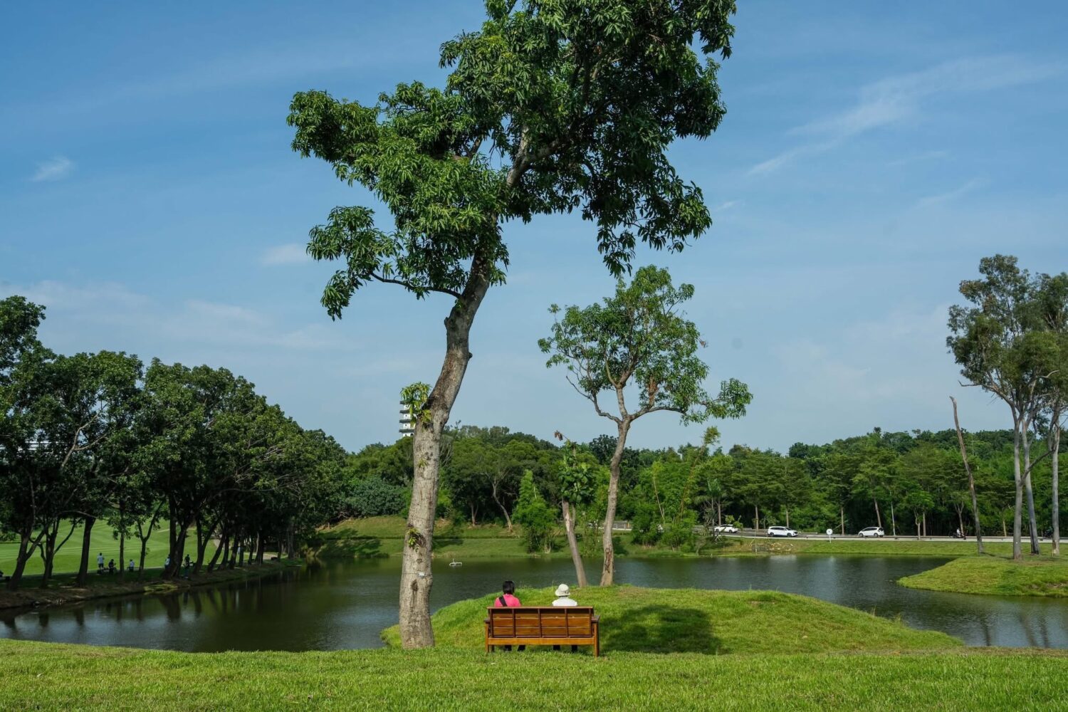 守護生態並防範火災,高雄果嶺自然公園嚴禁園內明火與炊煮行為 守護生態並防範火災,高雄果嶺自然公園嚴禁園內明火與炊煮行為
