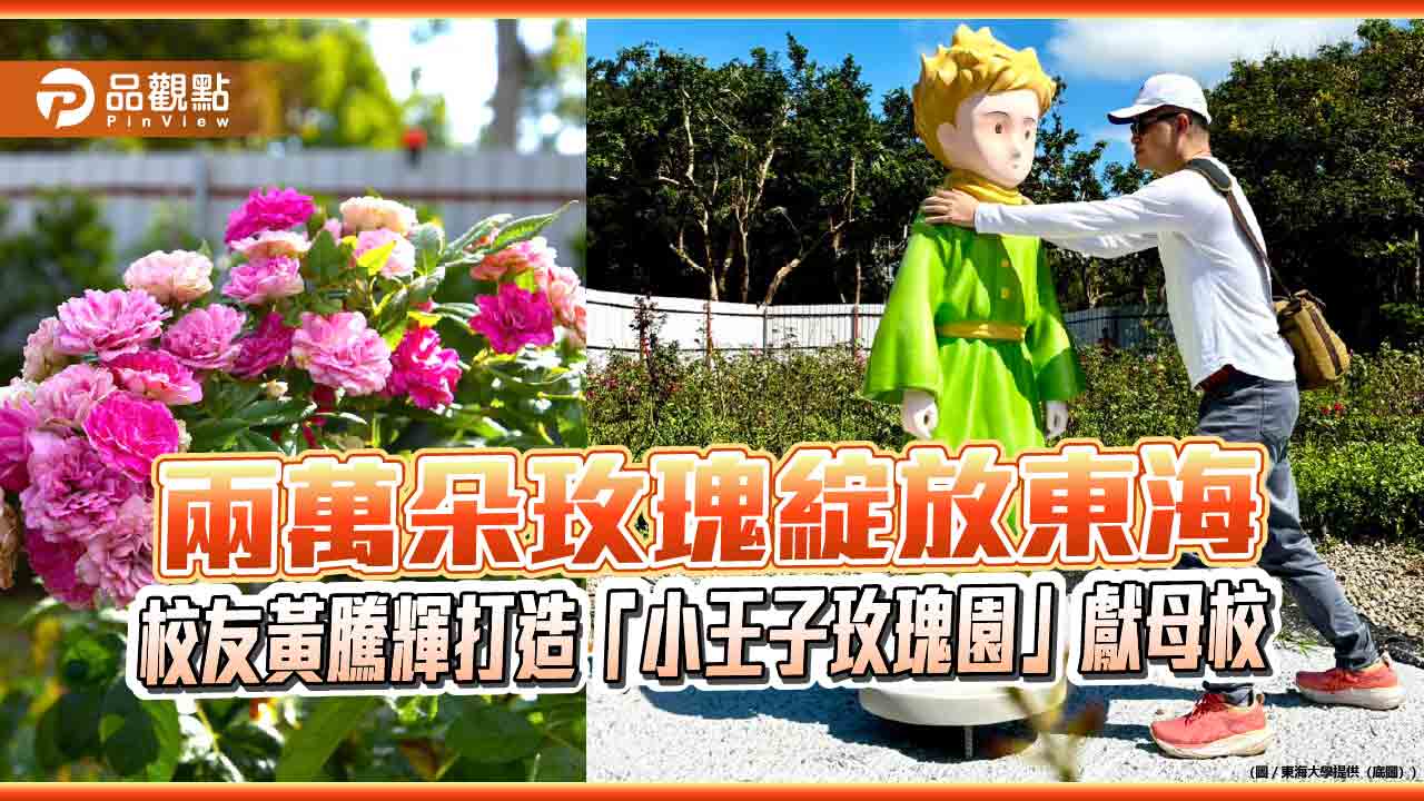 兩萬朵玫瑰綻放東海 校友黃騰輝打造「小王子玫瑰園」獻母校 兩萬朵玫瑰綻放東海 校友黃騰輝打造「小王子玫瑰園」獻母校