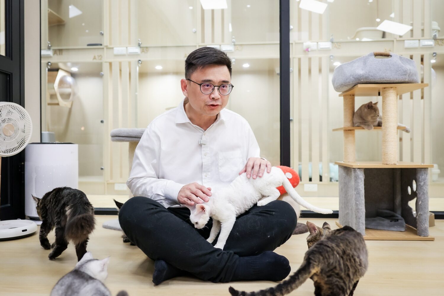 超療癒！毛爸賴瑞隆赴「貓咖」拋「毛孩四寶」政見 讓高雄成寵物友善之都