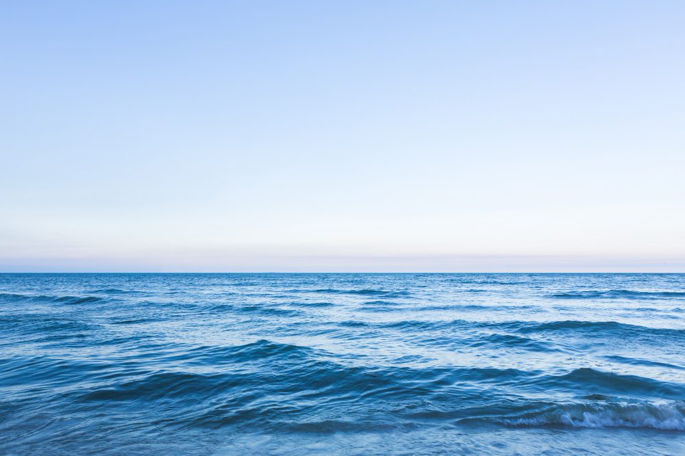 非洲豬瘟入侵!海保署:廚餘違法倒入海中 可重罰3000萬 非洲豬瘟入侵!海保署:廚餘違法倒入海中 可重罰3000萬