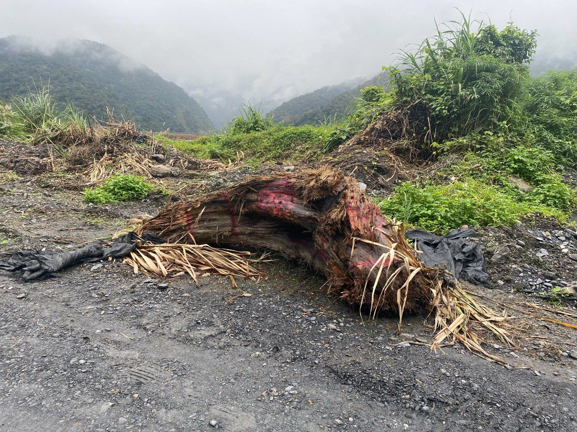 打擊環保犯罪!警政署強勢掃蕩逮7百人 查扣不法所得逾4千萬 打擊環保犯罪!警政署強勢掃蕩逮7百人 查扣不法所得逾4千萬