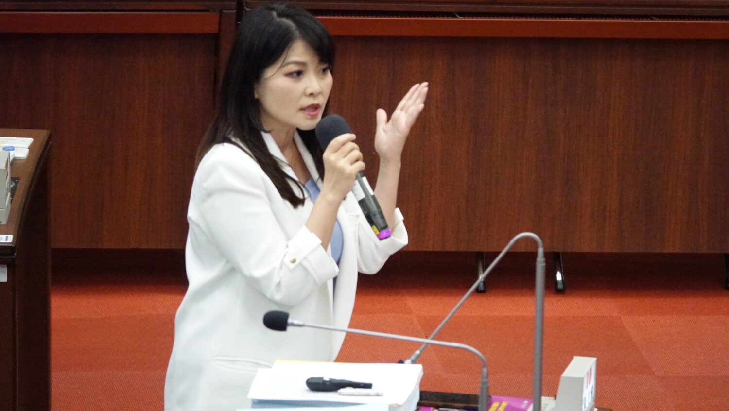 陳美雅:扶助青年創業不應太過單一,應結合產業趨勢與城市發展多元輔導 陳美雅:扶助青年創業不應太過單一,應結合產業趨勢與城市發展多元輔導