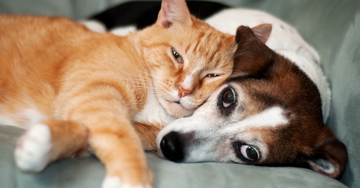 We Found the 20 Best GIFs on the Whole Internet We Found the 20 Best GIFs on the Whole Internet