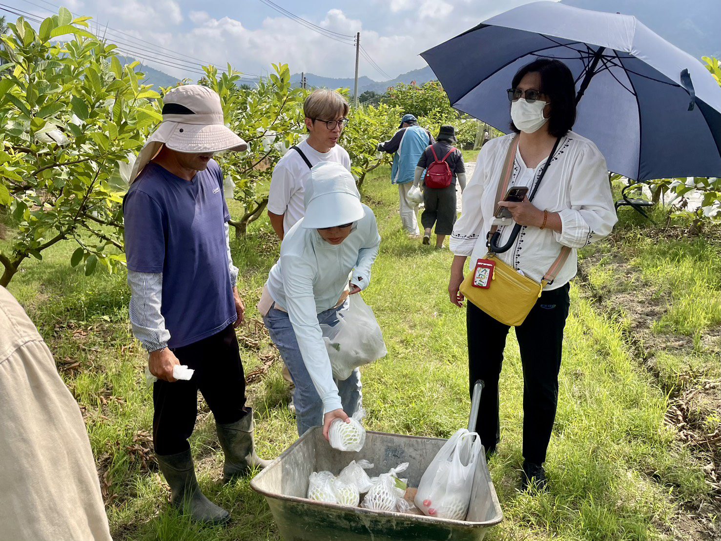 2025高雄客家大地餐桌  走進山城農場  從食旅體驗右堆秋收風味