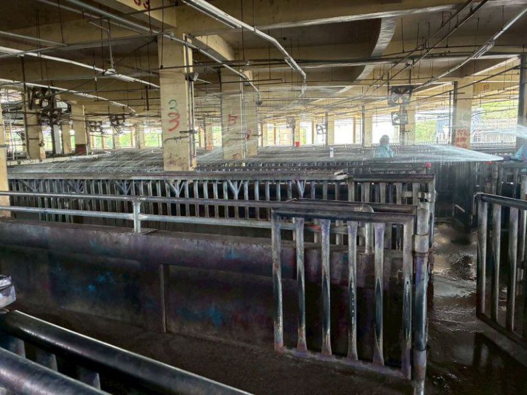 新竹縣配合全國擴大消毒日 全面動員防堵非洲豬瘟威脅 新竹縣配合全國擴大消毒日 全面動員防堵非洲豬瘟威脅