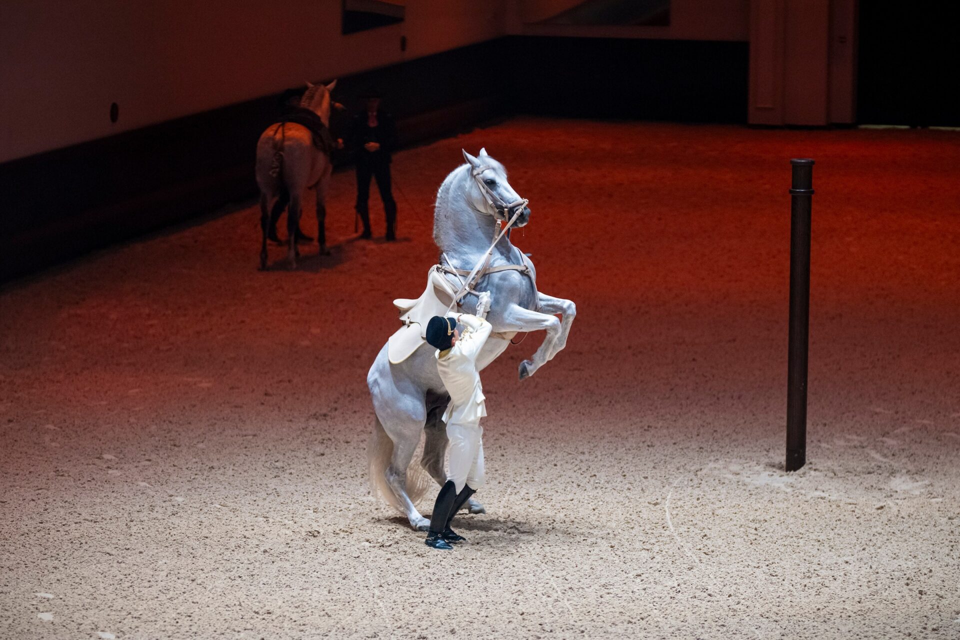 阿布札比皇家馬術藝術學院—-全球第五所古典馬術學院正式啟幕