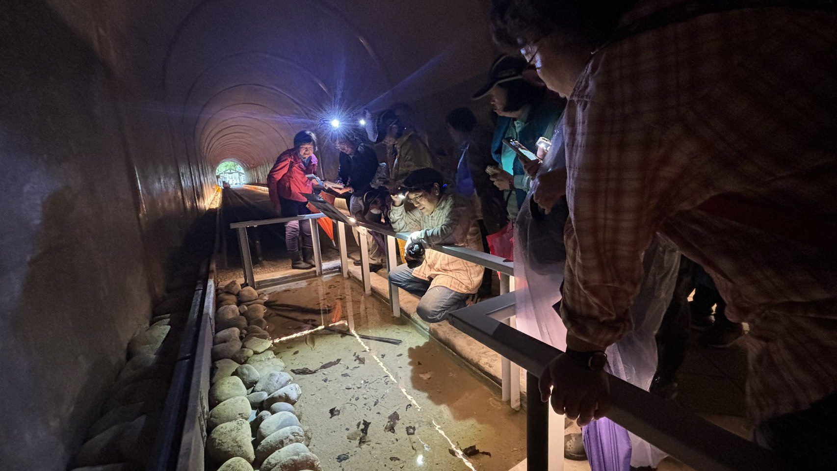 全台首座「生態池隧道」完工開放 打造北橫永續旅遊亮點