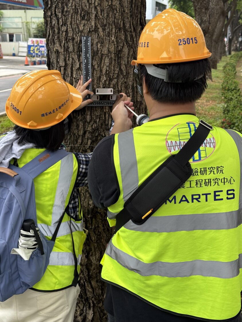 高雄輕軌沿線導入AI智慧路樹監測確保行車安全 高雄輕軌沿線導入AI智慧路樹監測確保行車安全