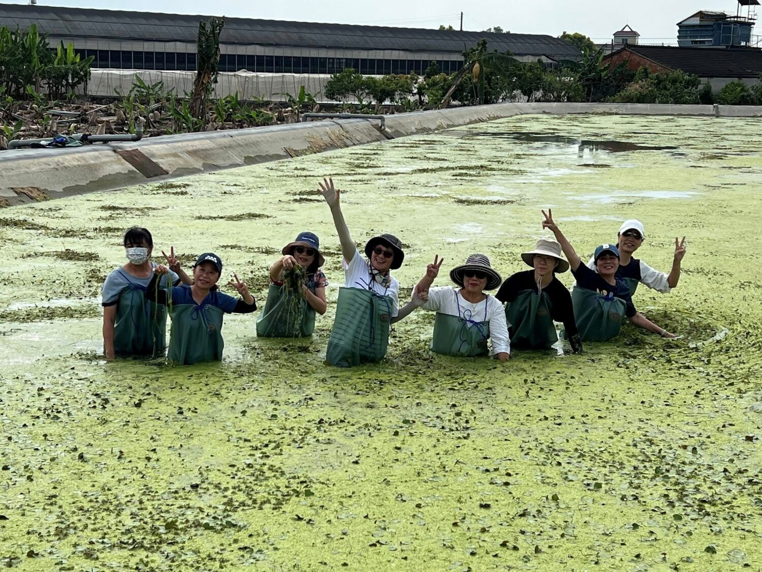 旅遊業者全面響應 高雄一日農夫體驗趣踩線行程圓滿成功 旅遊業者全面響應 高雄一日農夫體驗趣踩線行程圓滿成功
