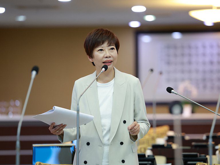 陳怡珍市政總質詢　力促南市政再提升