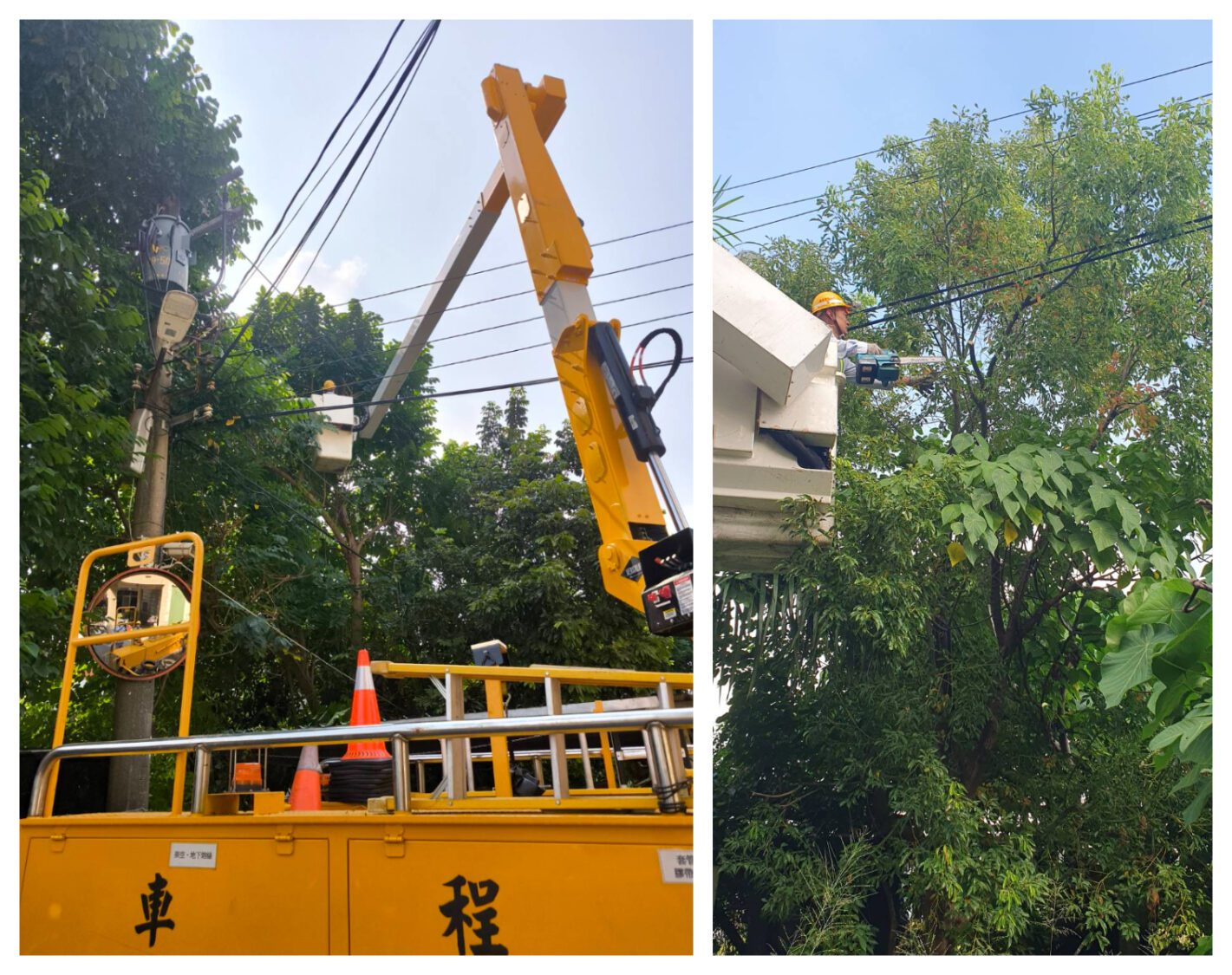 迎戰鳳凰颱風!台電鳳山區處搶修大軍待命 樹木修剪全面啟動 迎戰鳳凰颱風!台電鳳山區處搶修大軍待命 樹木修剪全面啟動