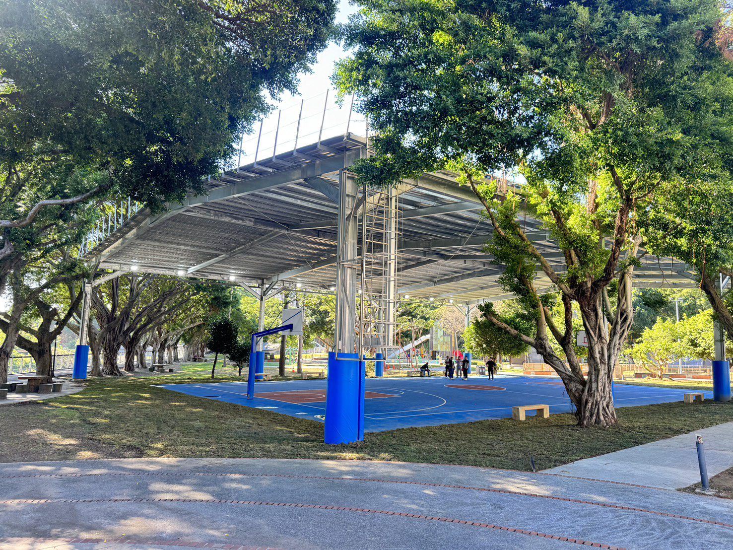 運動風雨無阻！桃園龜山中正公園光電天幕籃球場啟用