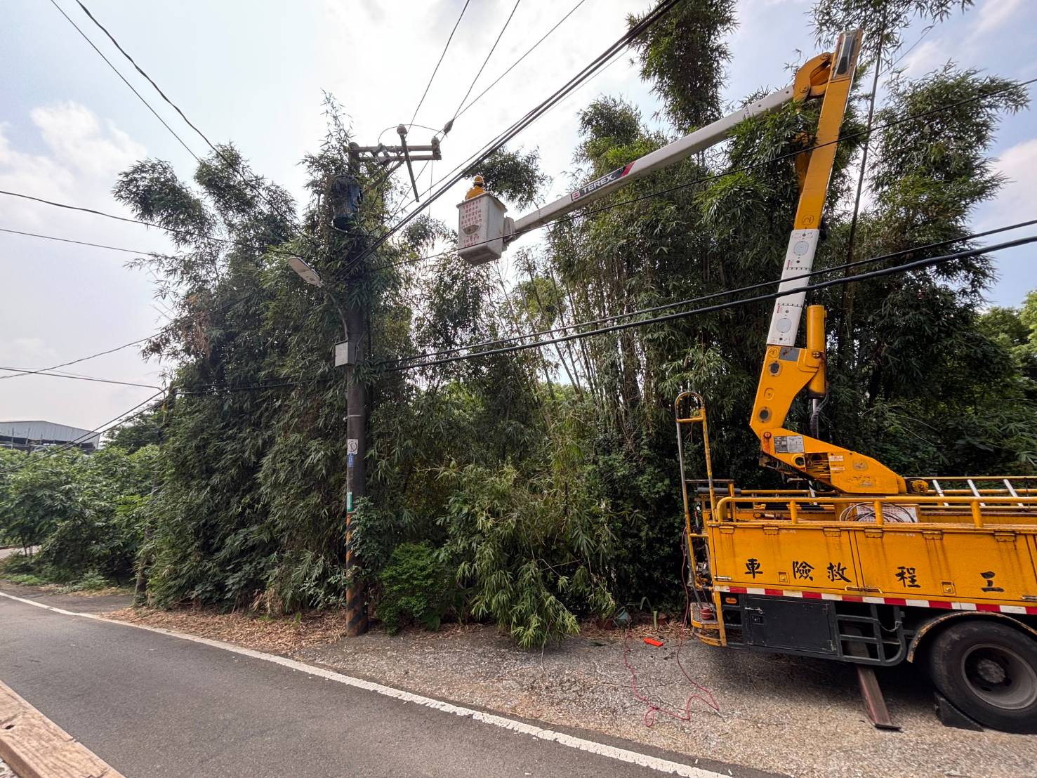 鳳凰颱風侵台機率大增 台電桃園區處超前部署
