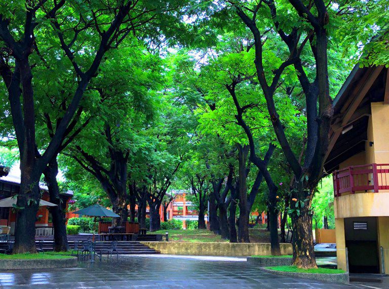 2025客畫入微.親子共畫 11月15日攜客創作樂無限 2025客畫入微.親子共畫 11月15日攜客創作樂無限