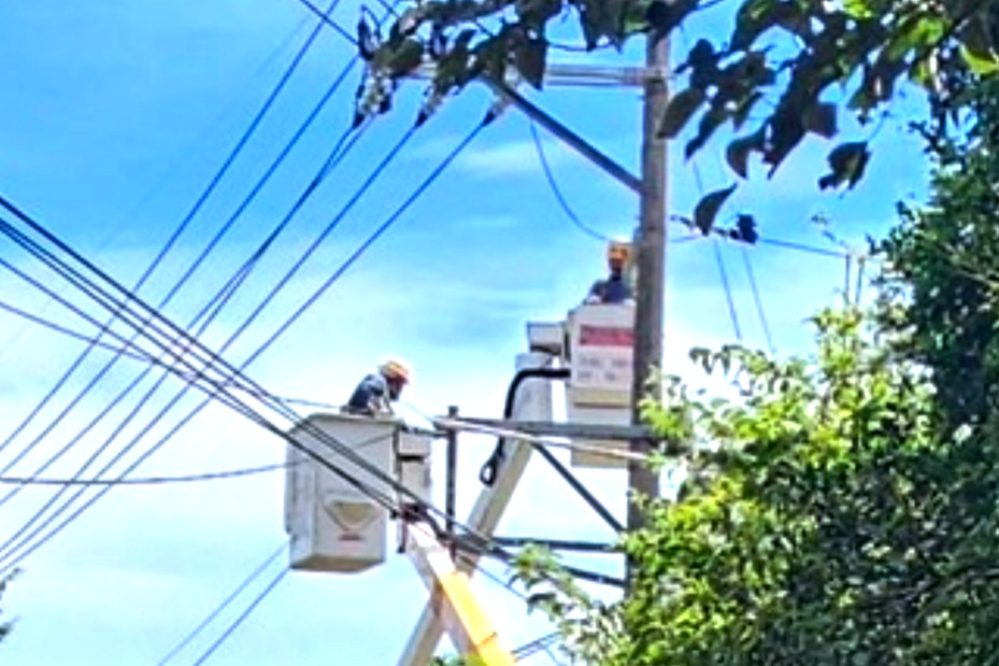 鳳凰颱風來勢洶洶 台電新竹超前部署全力戒備預防性修剪樹竹 鳳凰颱風來勢洶洶 台電新竹超前部署全力戒備預防性修剪樹竹