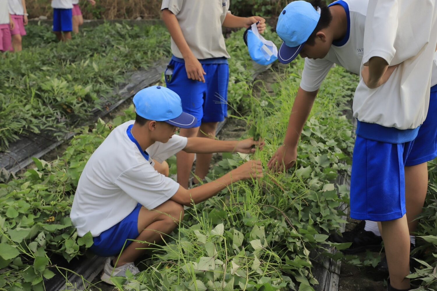 高科大前進南隆國中宣導食農教育  農糧署推廣國產雜糧開進南台灣