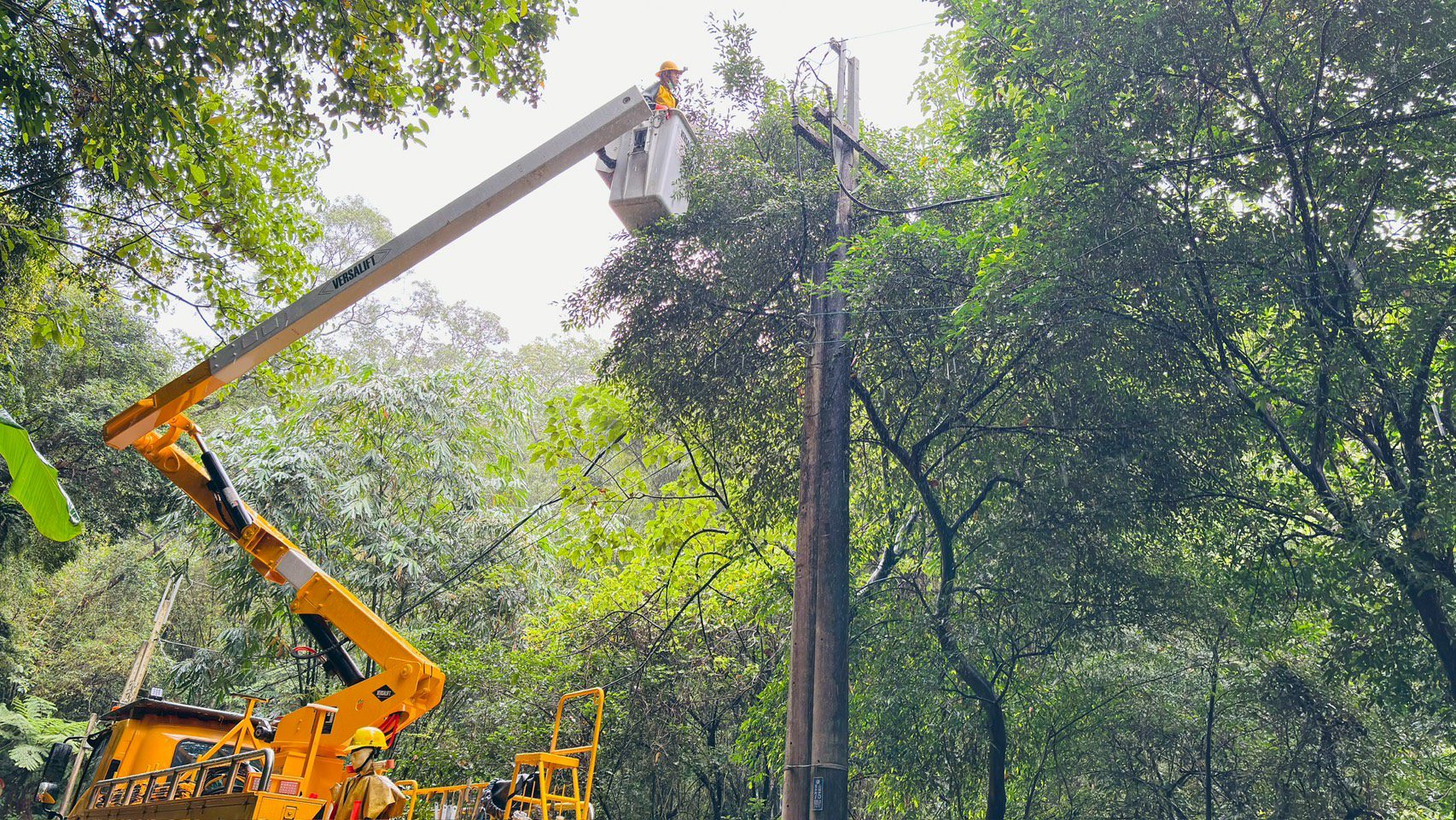 鳳凰颱風準備登陸台灣 台電桃園區處提醒民眾這些事