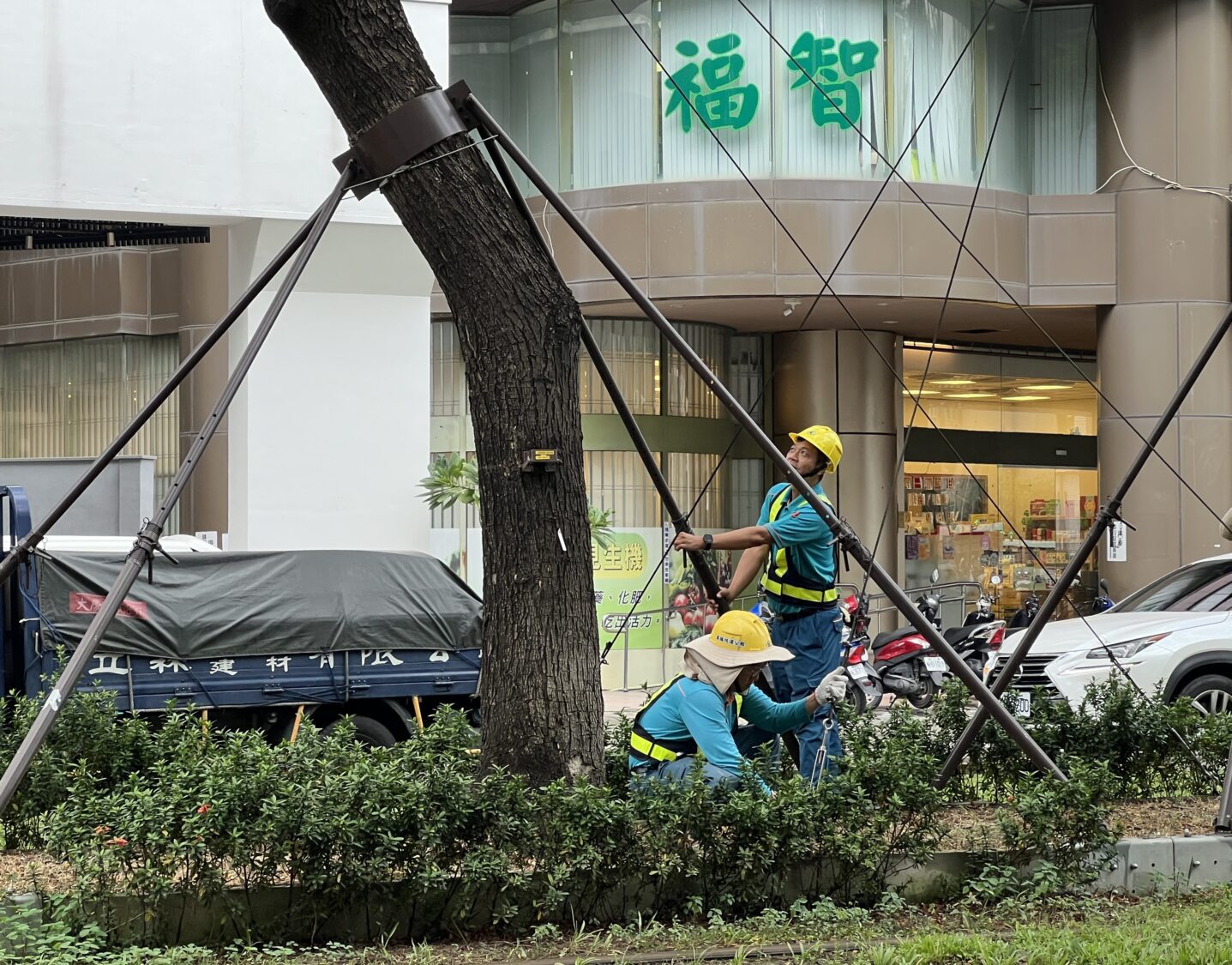 鳳凰颱風未至 應變先行  高市捷運局完成輕軌防颱佈署