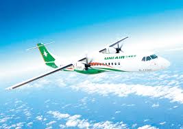 立榮航空國內線航班明(12)日全部取消 立榮航空國內線航班明(12)日全部取消