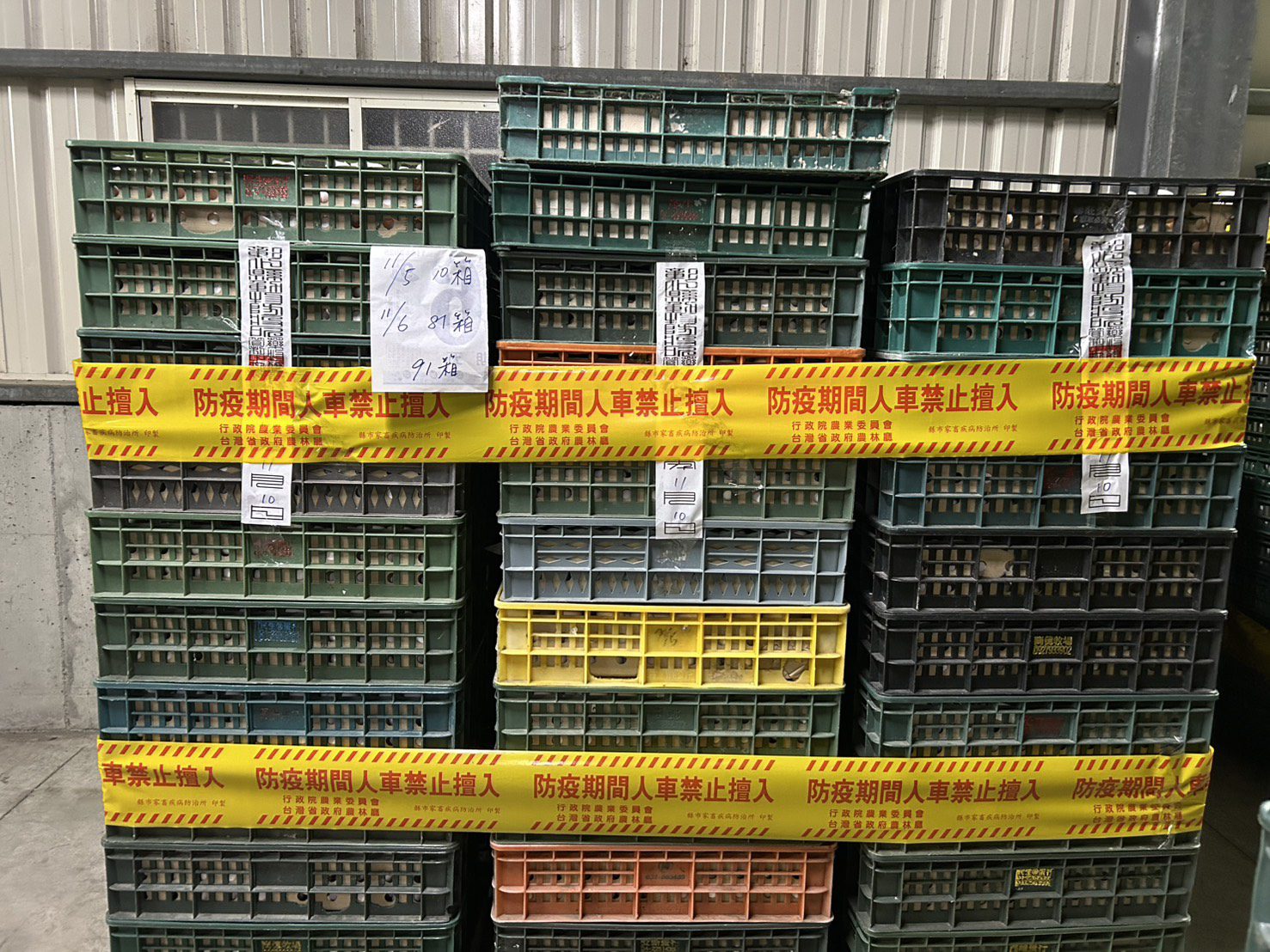 彰化文雅畜牧場再檢出芬普尼雞蛋　縣府啟動全面禁止移動管制與監測