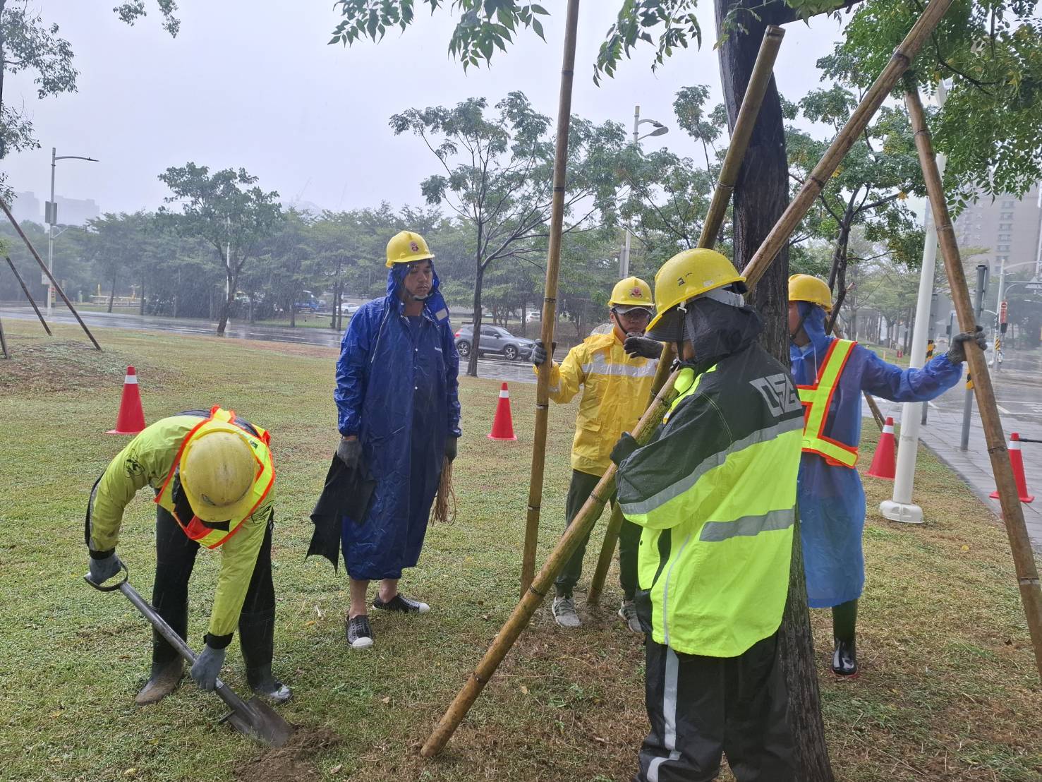 鳳凰颱風來襲　林欽榮副市長加強督導路樹安全 並慰勞工作人員辛勞