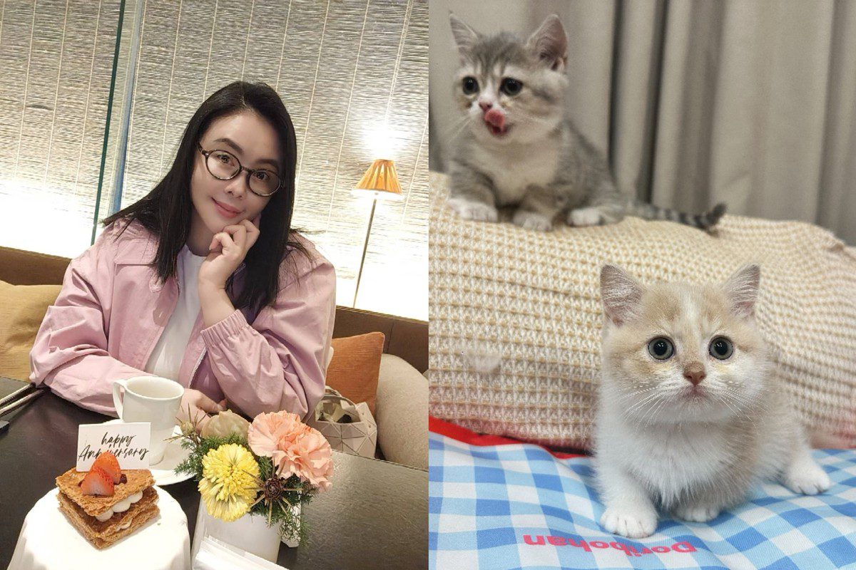 慎重登場  愛意不減｜梁軒安與蕭淑慎攜手八週年  十貓作伴幸福滿屋