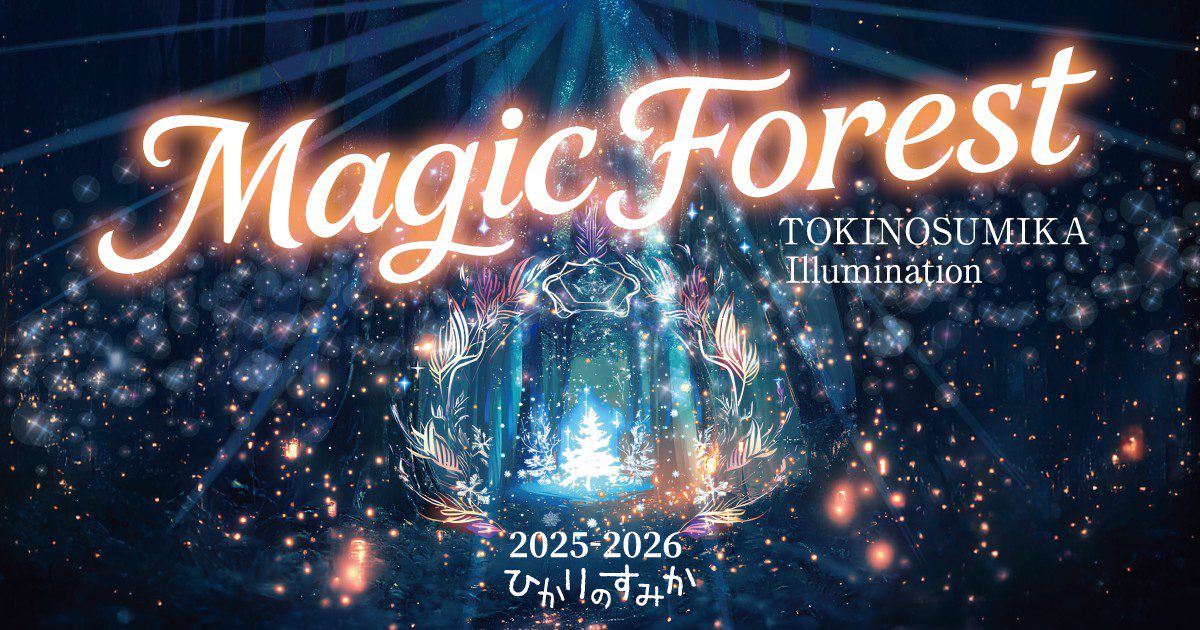 550萬顆燈光點亮「魔法森林」日本最靠近富士山的冬季燈飾節開幕