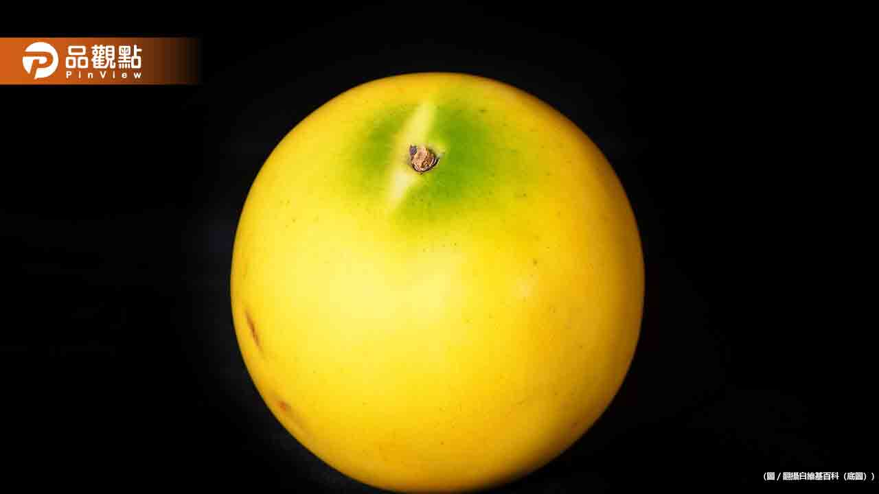 龜吼漁港爆天價宰客「4顆水果賣988元」 他怒轟國旅崩壞 龜吼漁港爆天價宰客「4顆水果賣988元」 他怒轟國旅崩壞