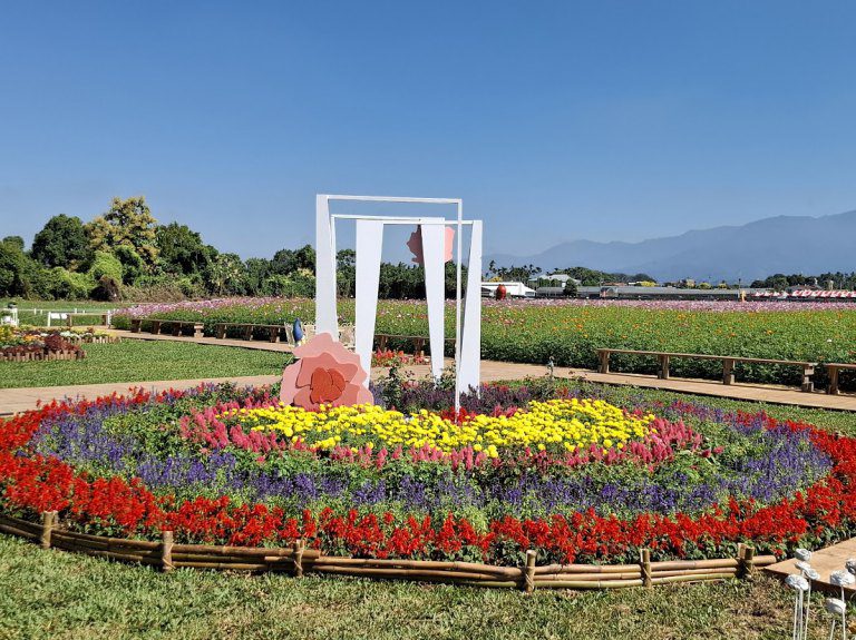 勤益科技大學景觀系攜手種苗繁殖改良場　共創新社花海新亮點