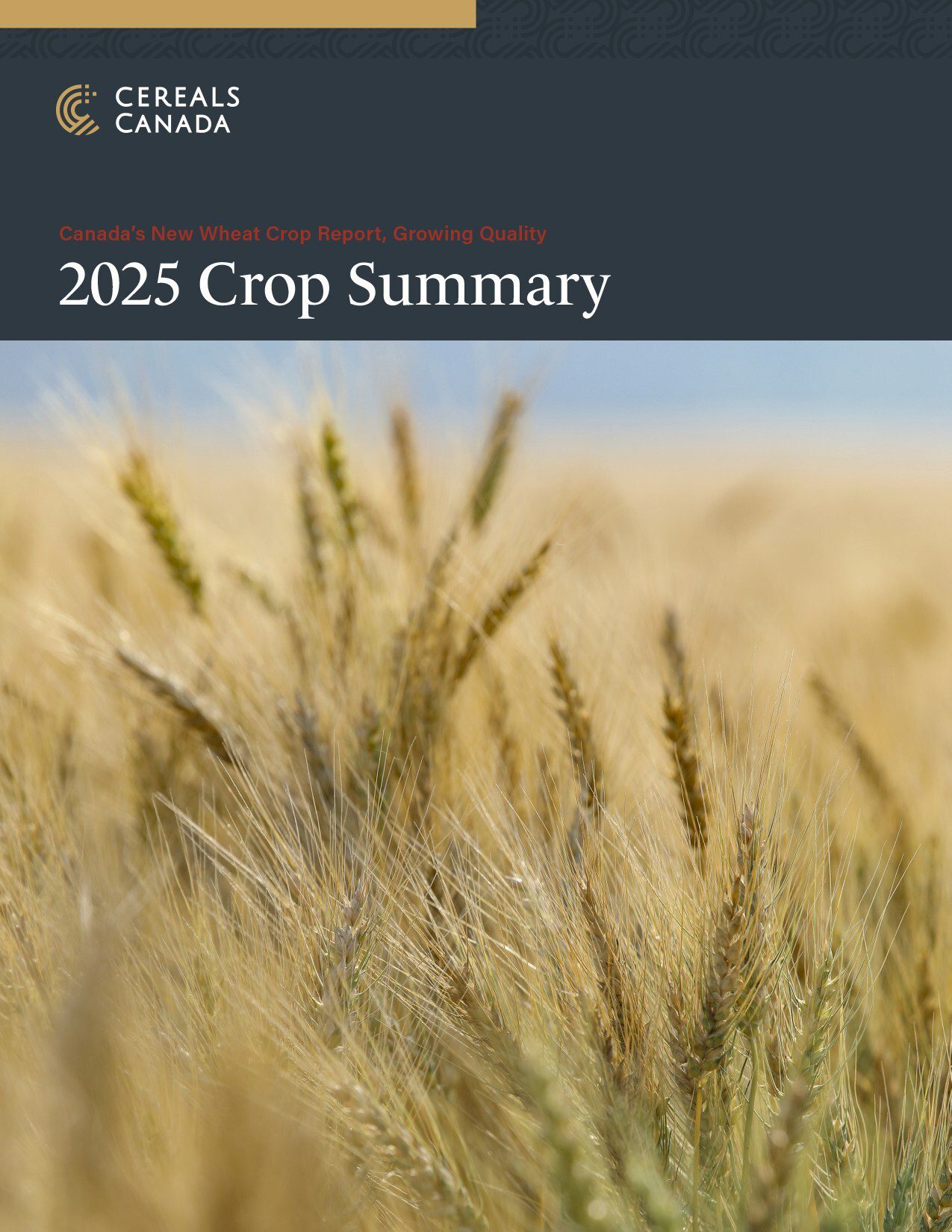 Cereals Canada 發佈《2025 年全新小麥農作物報告》(2025 New Wheat Crop Report) Cereals Canada 發佈《2025 年全新小麥農作物報告》(2025 New Wheat Crop Report)