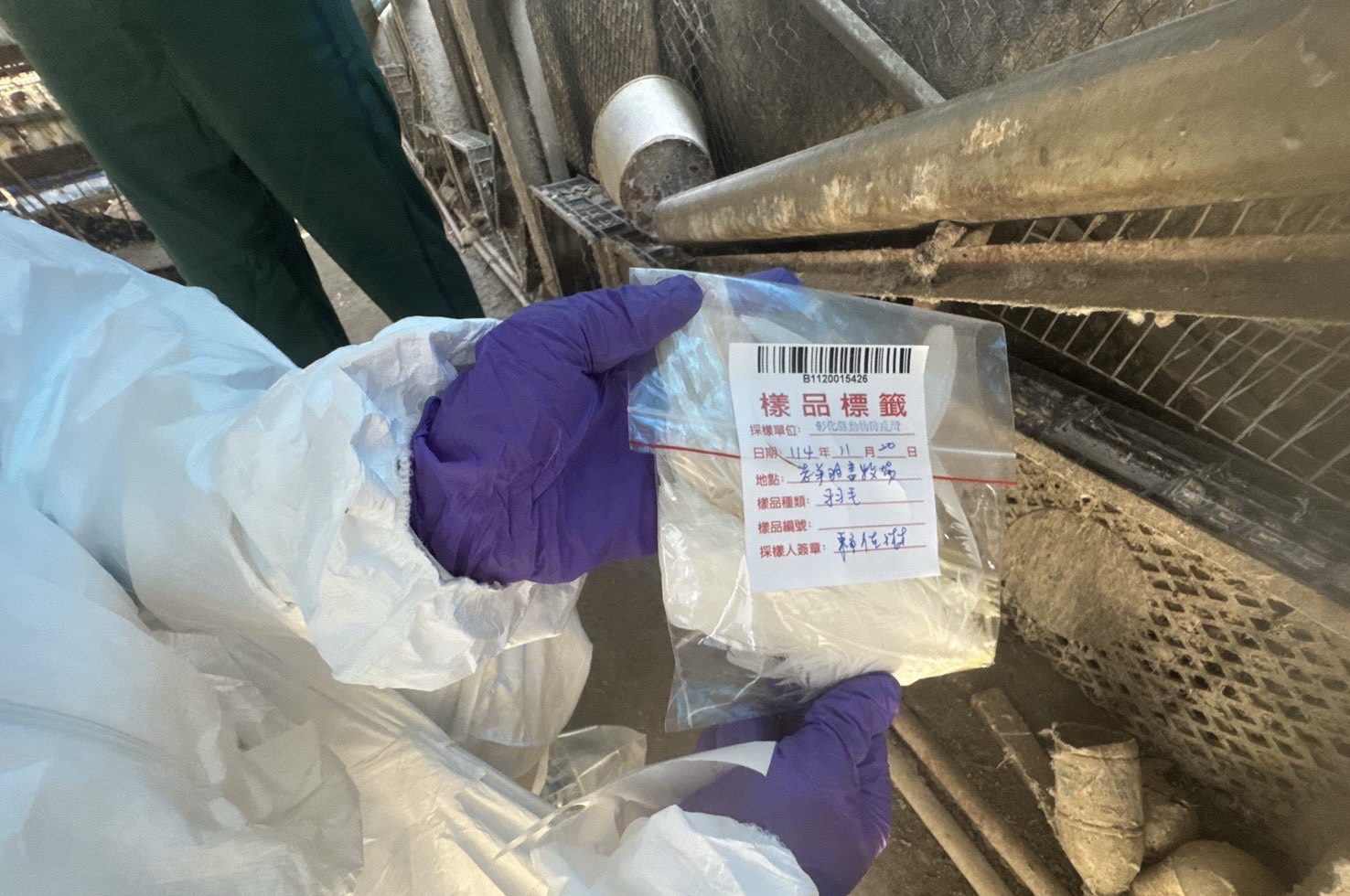 彰縣蛋雞場芬普尼採樣監測　第一梯次15場高風險場檢驗結果均為未檢出