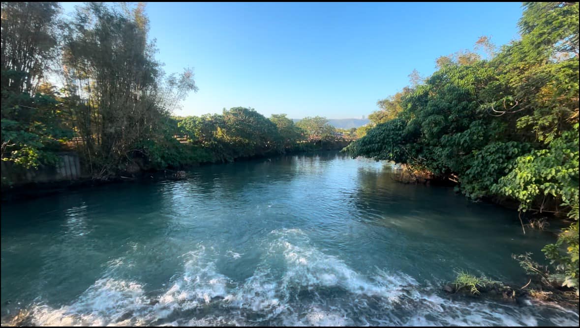 2025 五分港溪秋之⼤地藝術祭 欣賞臺北市最美河川