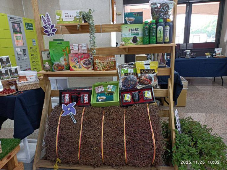 關西仙草節共下來享仙 邀民眾欣賞超過1公頃的浪漫花海 關西仙草節共下來享仙 邀民眾欣賞超過1公頃的浪漫花海