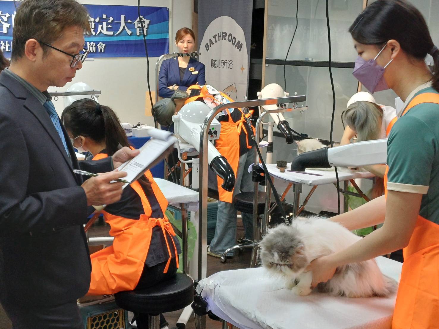 AI 時代最強「不被取代」職涯！角落貓學堂攜手 KCT 推出南台灣首場貓美容檢定