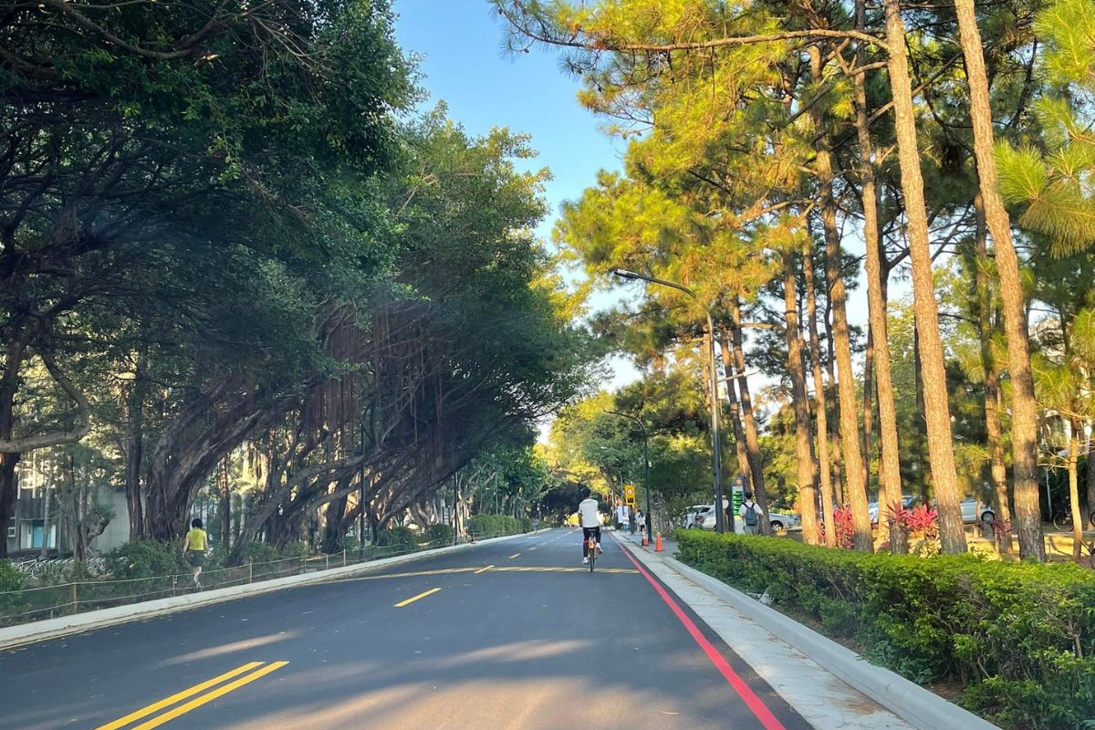 中央大學展現永續校園實力 環校道路改善工程再獲獎肯定